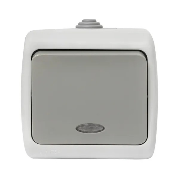 EKF Switch Murmansk 1-Key Grey Plastic